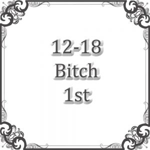 NS 12-18 Month Bitch