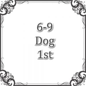 NS 6-9 Month Dog