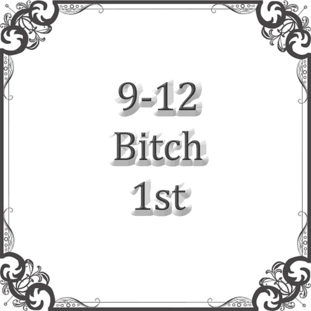 NS 9-12 Month Bitch