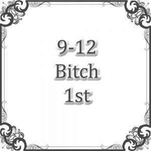 NS 9-12 Month Bitch