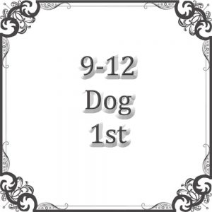 NS 9-12 Month Dog