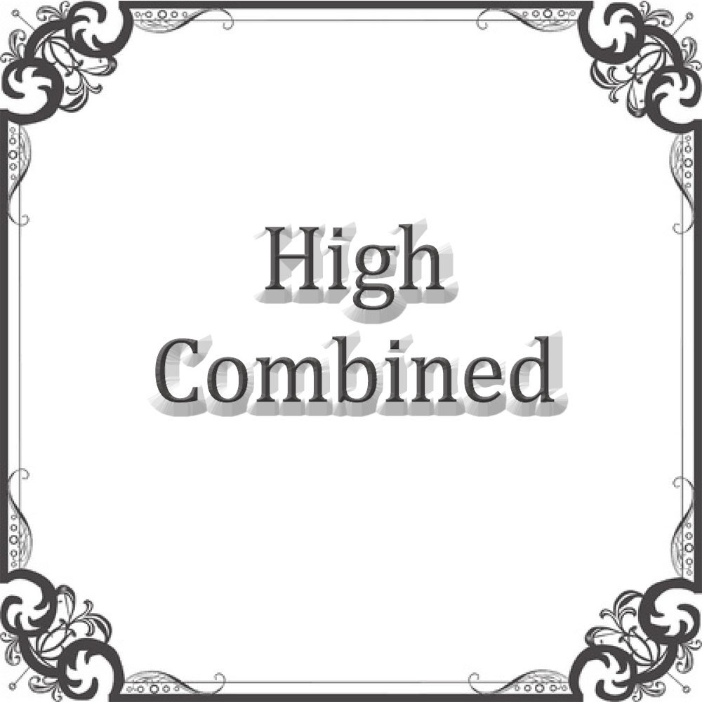 NS Rally High Combined