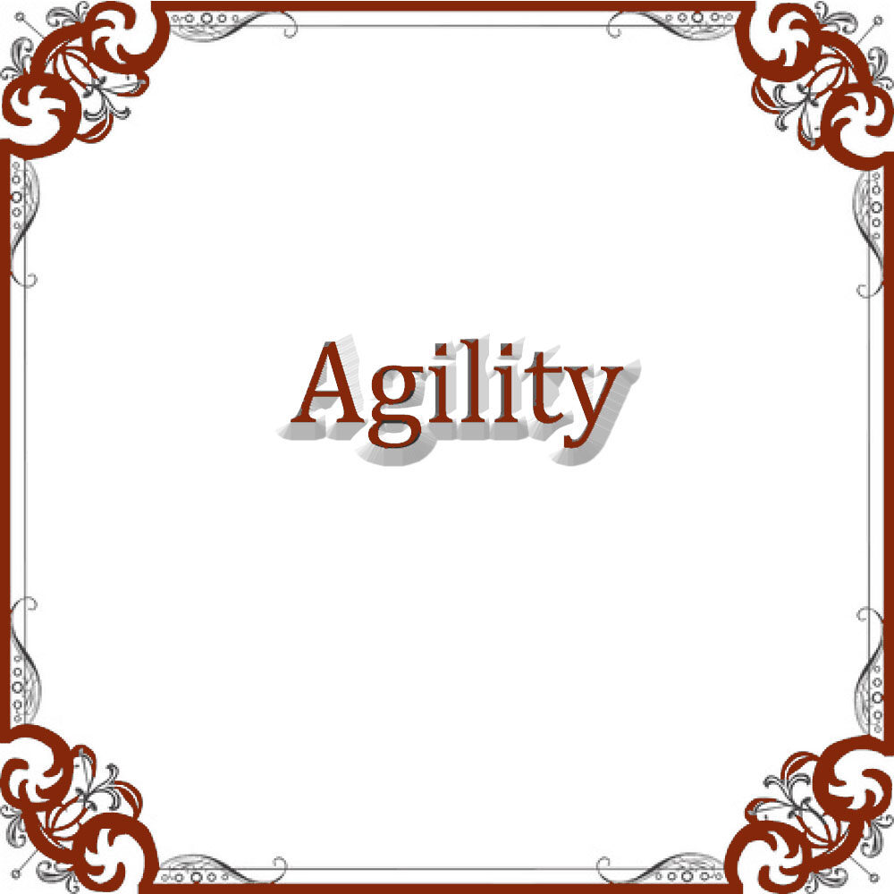 NS Agility