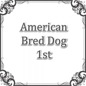 NS Am Bred Dog