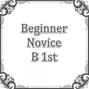 NS Beg Novice B