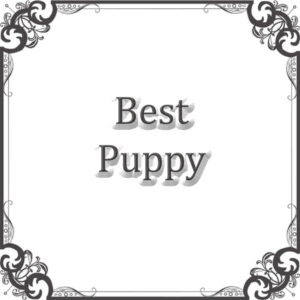 NS Best Puppy