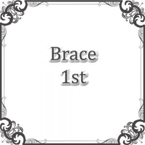 NS Obe Brace