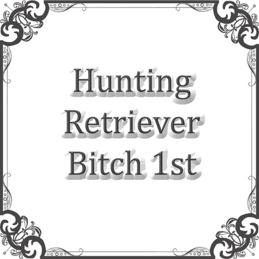 NS Hunting Ret Bitch