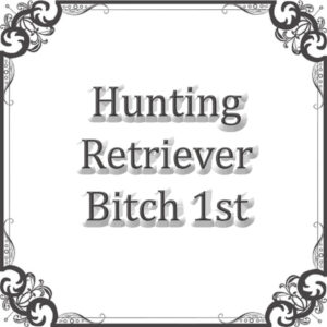 NS Hunting Ret Bitch Sweepstakes
