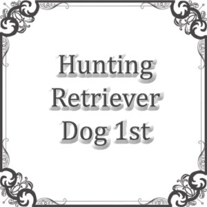 NS Hunting Ret Dog Sweepstakes