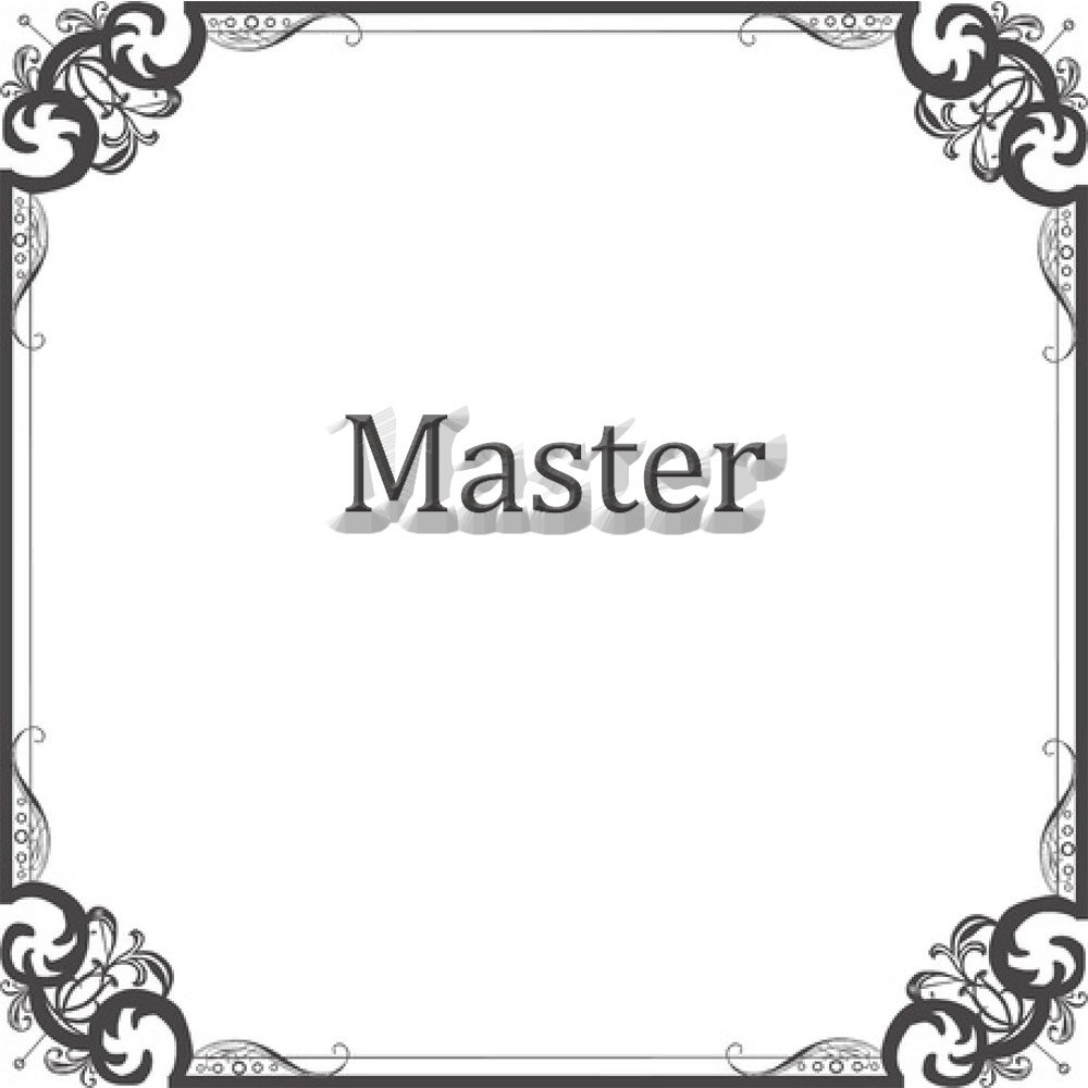 NS Rally Master