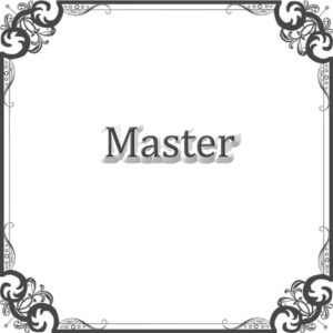 NS Rally Master