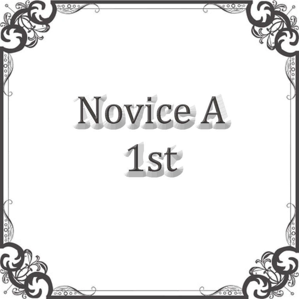 NS Rally Novice A