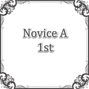 NS Rally Novice A
