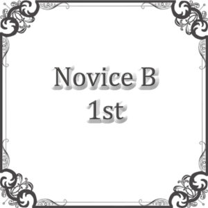 NS Rally Novice B