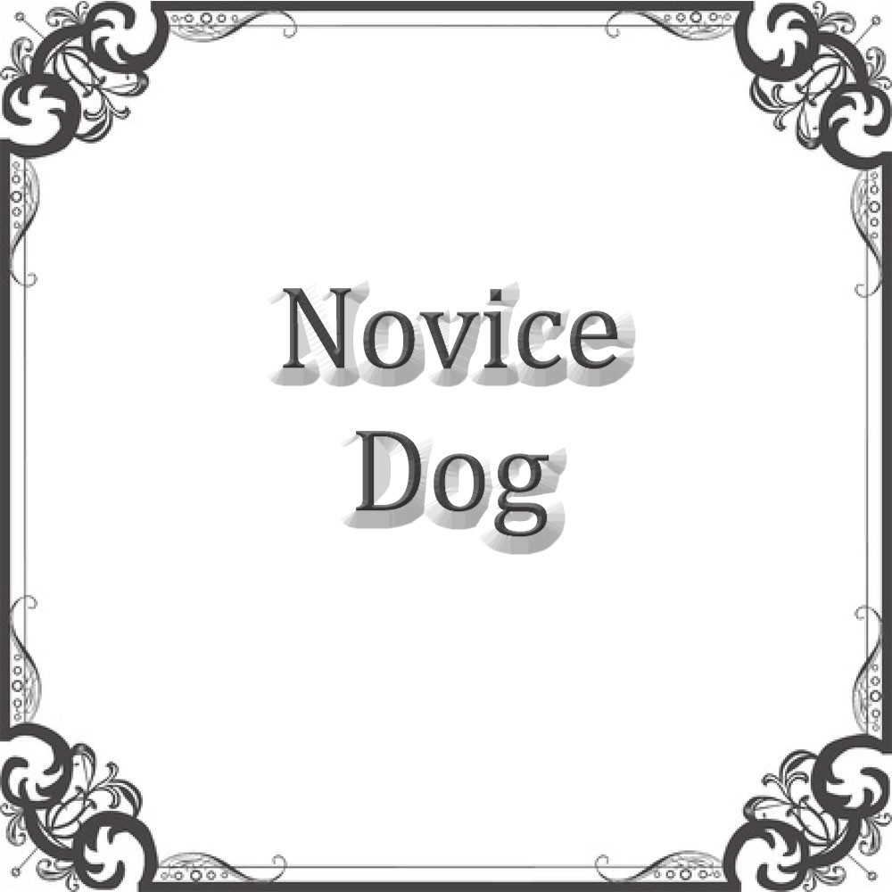 Novice Dog NSDTRC USA novice-dog-nsdtrc-usa
