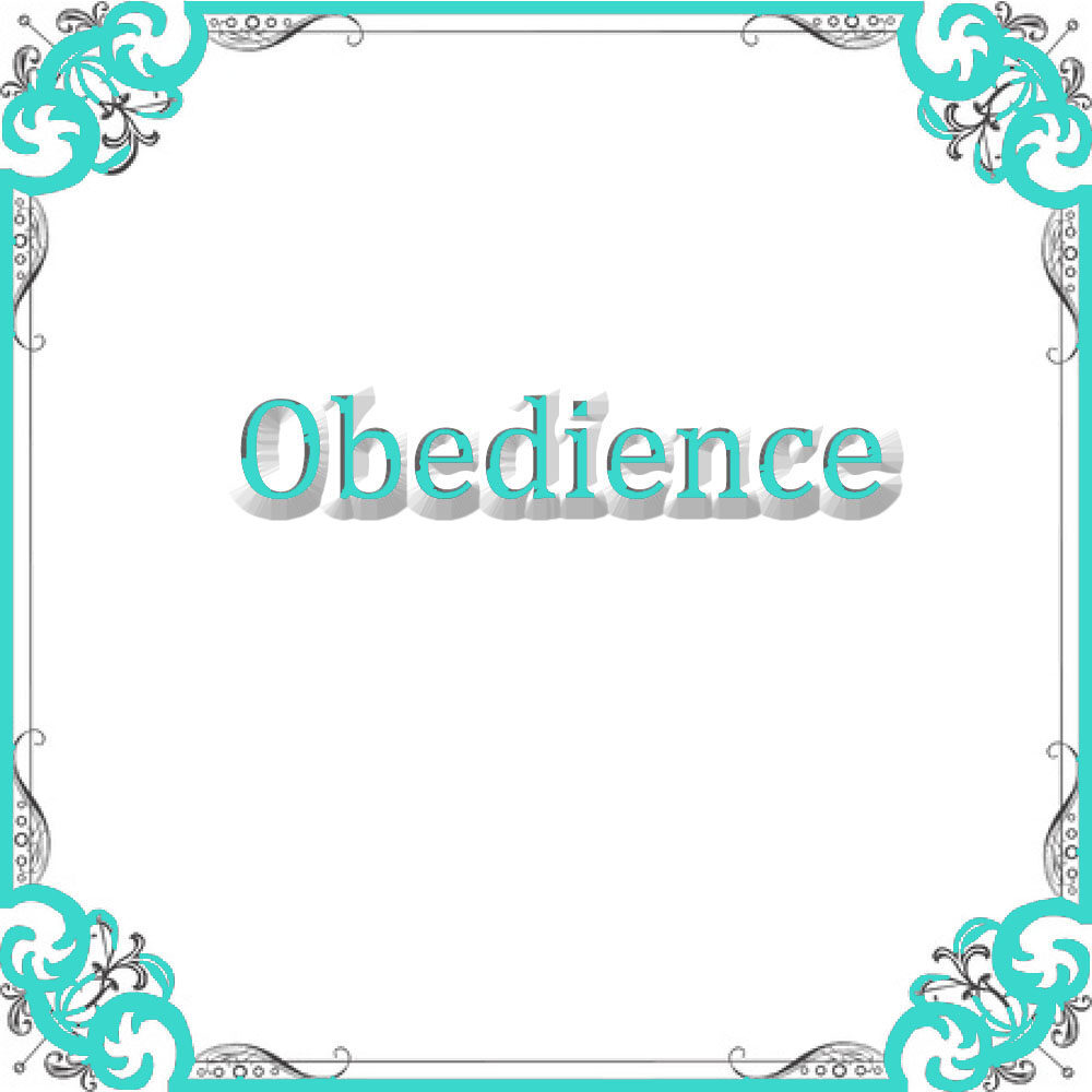 NS Obedience