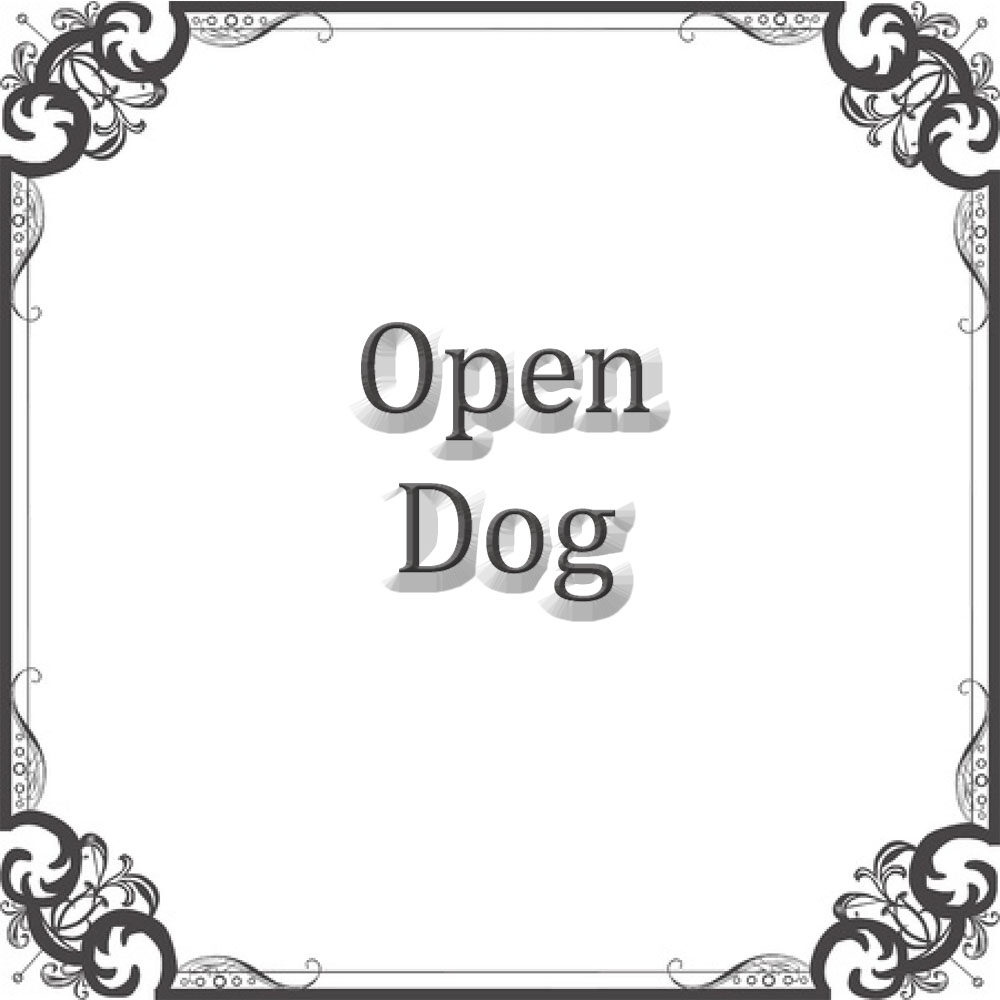 NS Open Dog