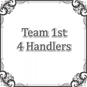 NS Obe Team