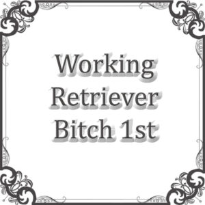NS Working Ret Bitch Sweepstakes