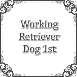 NS Working Ret Dog Sweepstakes