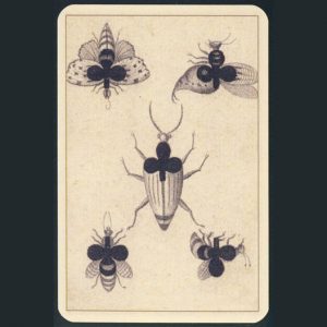 Five of Clubs