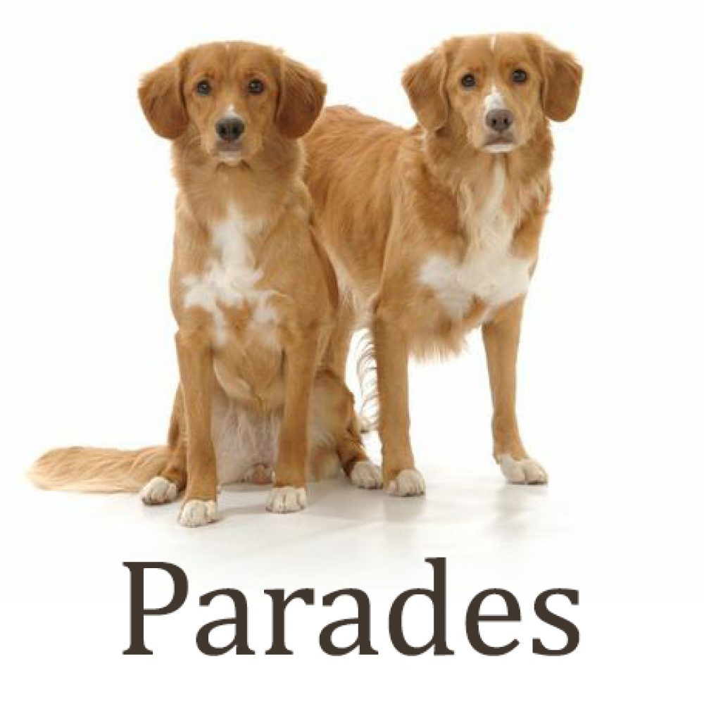 2026 National Specialty Parades