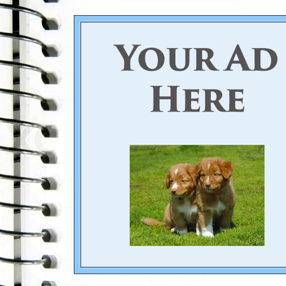 2026 NS Catalog Ads