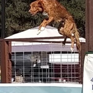 NS PRACTICE JUMP