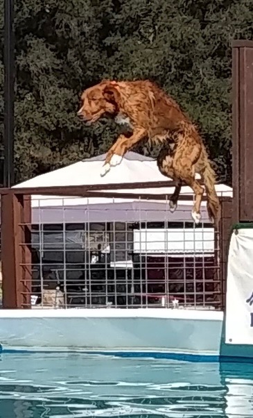 NS PRACTICE JUMP