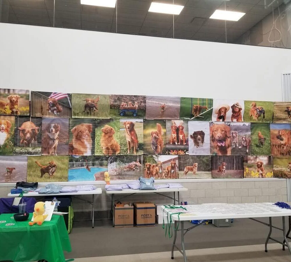 2026 NS Photo Banner