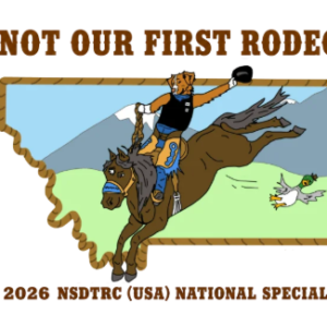 NS Embroidered Logo Patch