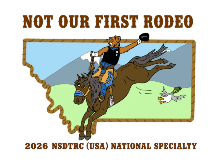 NS Embroidered Logo Patch