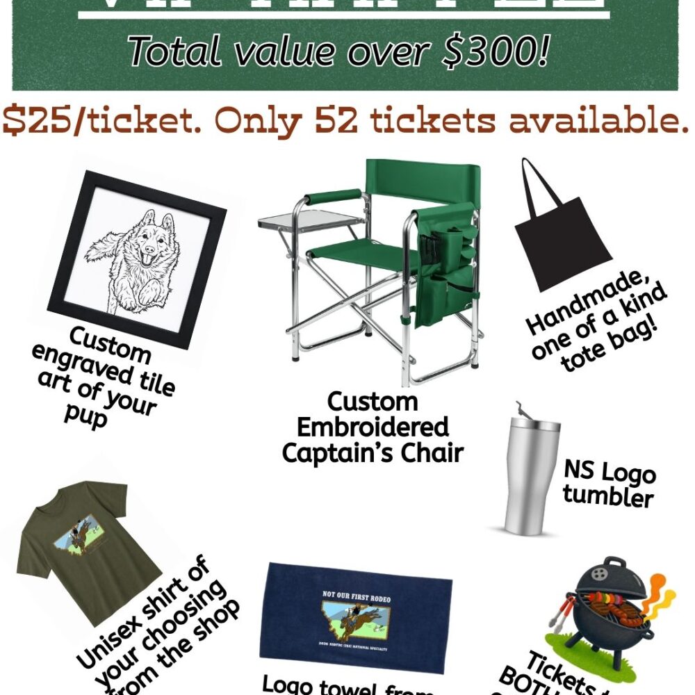 2026 NS VIP RAFFLE